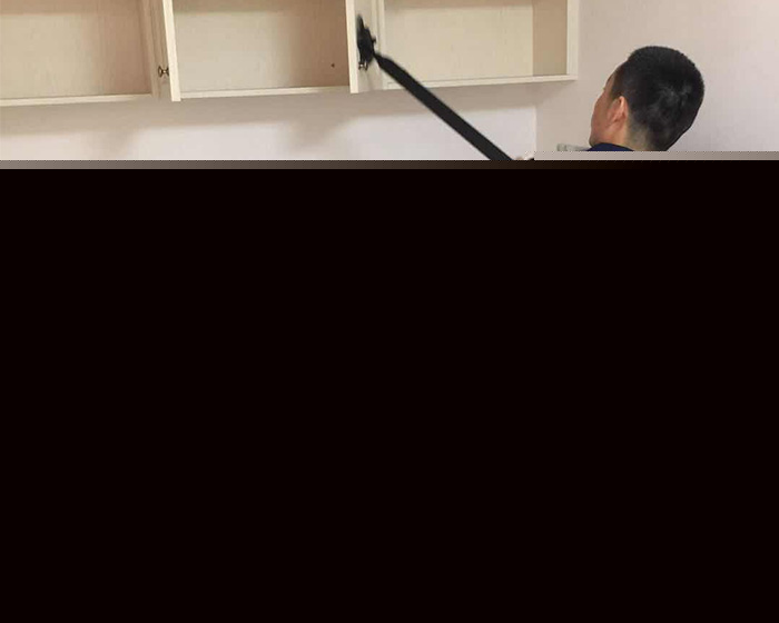 ̬ȩȾ